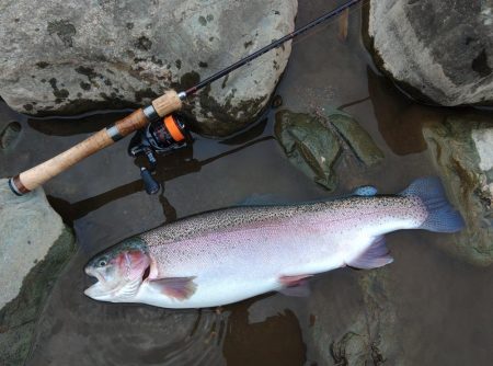 天竜川ルアーフライ専用区